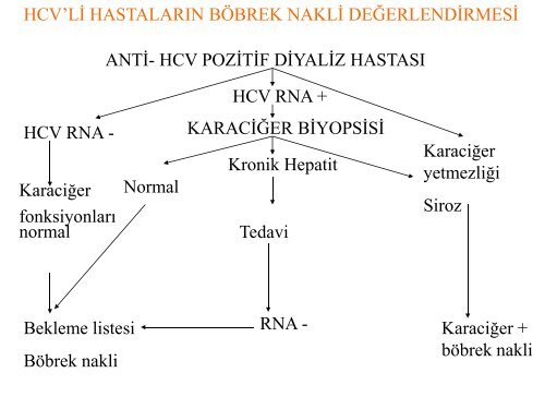 bÃ¶brek nakli alÄ±cÄ± adayÄ± deÄerlendirmesi