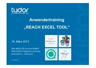 REACH Excel Tool - Helpdesk REACH & CLP