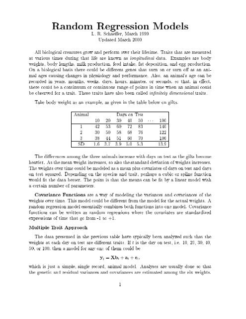 Adobe pdf