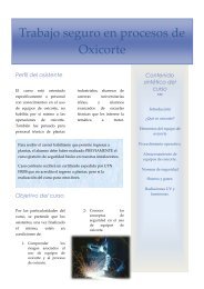 Trabajo seguro en procesos de Oxicorte - UTN FRBB