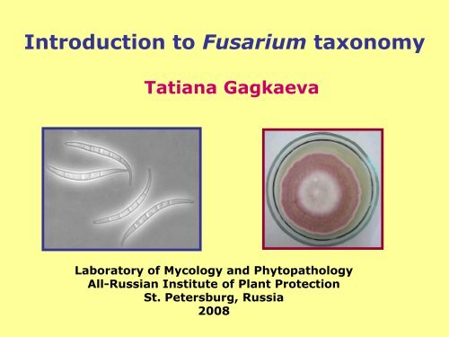 Introduction to Fusarium taxonomy