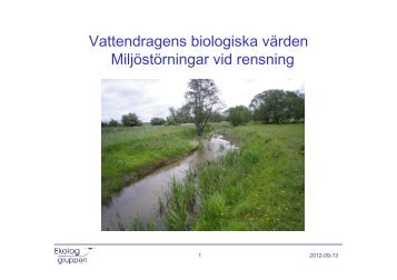 Johan Krook, Ekologgruppen
