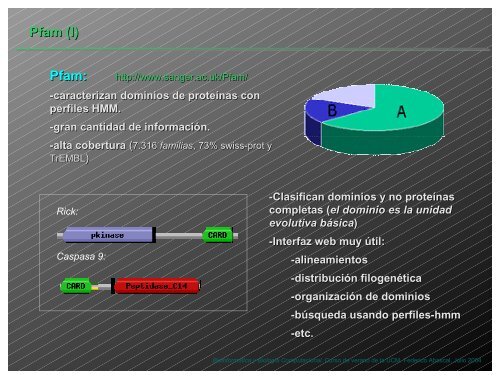 Patrones, perfiles y dominios.