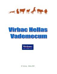 Vademecum2ndEditionMay2009.pdf