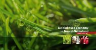 De biobased economy in Noord-Nederland