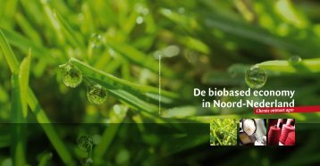 De biobased economy in Noord-Nederland