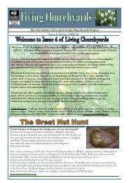 GLCP newsletter Issue 4.pdf - Gwent Wildlife Trust