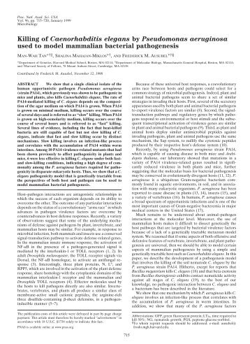 Killing of Caenorhabditis elegans by Pseudomonas aeruginosa ...