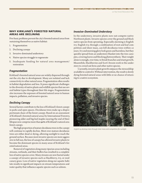 20-year Forest Restoration Plan - City of Kirkland