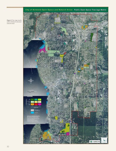 20-year Forest Restoration Plan - City of Kirkland