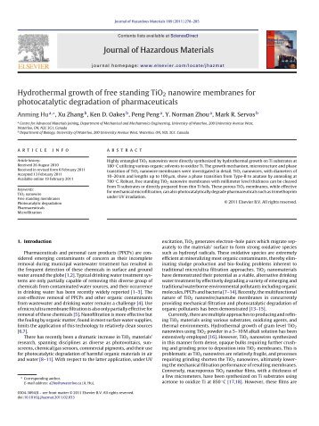 Hydrothermal growth of free standing TiO2 nanowire membranes for ...