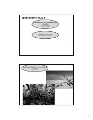 VEGETACIÃN Y CLIMA