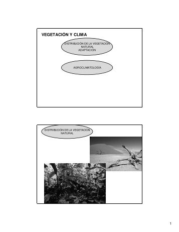 VEGETACIÃN Y CLIMA