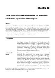 Sperm DNA Fragmentation Analysis Using the TUNEL Assay