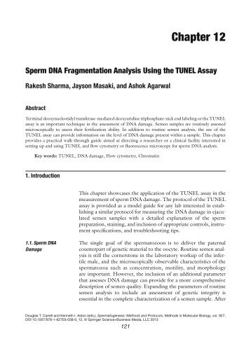 Sperm DNA Fragmentation Analysis Using the TUNEL Assay