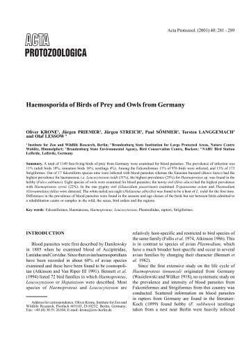 Haemosporida of Birds of Prey and Owls from Germany