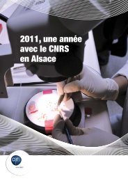 2011, une annÃ©e avec le CNRS en Alsace - CNRS Alsace