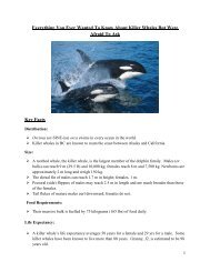 Everything You Ever Wanted To Know About Killer Whales But Were ...