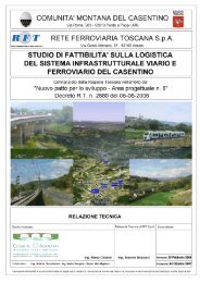Relazione Tecnica dello studio - Rete Civica del Casentino