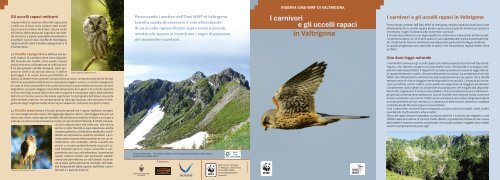 I carnivori e gli uccelli rapaci in Valtrigona - Valsugana