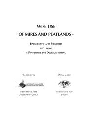 wise use of mires and peatlands - Peatland Ecology Research Group