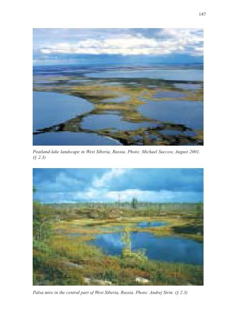 wise use of mires and peatlands - Peatland Ecology Research Group
