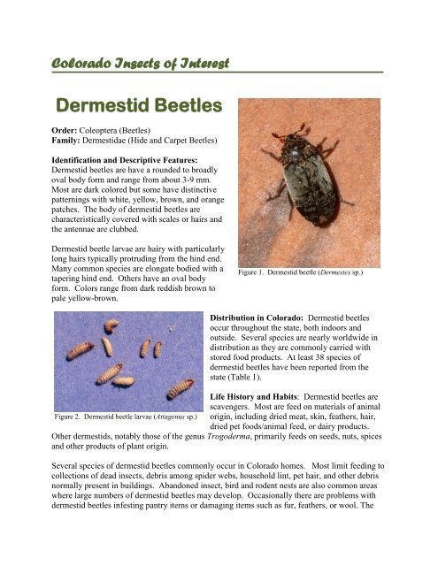 Fabric Pest Control Home Garden Information Center