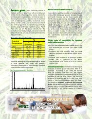 Lemon grass - Scientific Research Council