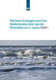 Mariene Strategie voor het Nederlandse deel van ... - Rijksoverheid.nl