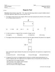 WS#1 (Magnetic Fields)