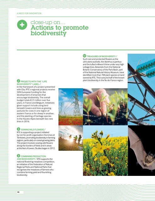 2012 Activity and sustainable development report - RTE