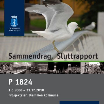 P 1824 Sammendrag, Sluttrapport - Drammen kommune