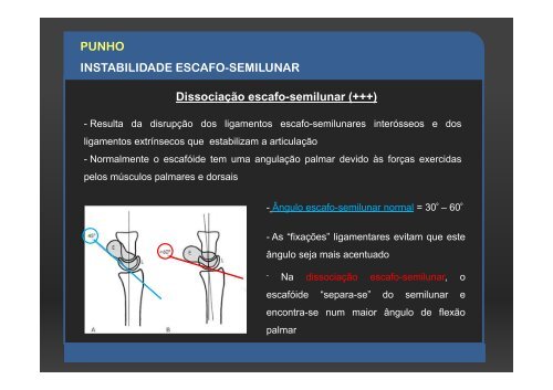 ESTUDOS MÉTRICOS EM RADIOLOGIA CONVENCIONAL ...