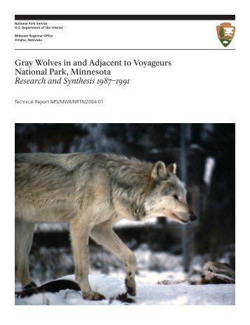 Gray Wolves in and Adjacent to Voyageurs National Park ...