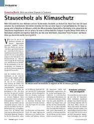 Stauseeholz als Klimaschutz