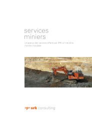 services miniers - SRK Consulting