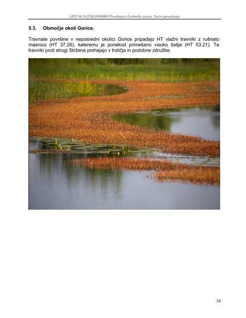 Kartiranje habitatnih tipov - Presihajoče Cerkniško jezero