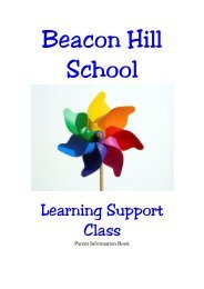 Learning Support Class - Beacon Hill School