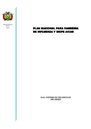 plan nacional para pandemia de influenza y gripe aviar de influenza ...