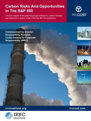 Carbon Risks and Opportunities in the S&P 500 - Investor ...