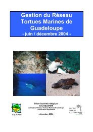 Gestion du Réseau Tortues Marines de Guadeloupe - juin ...