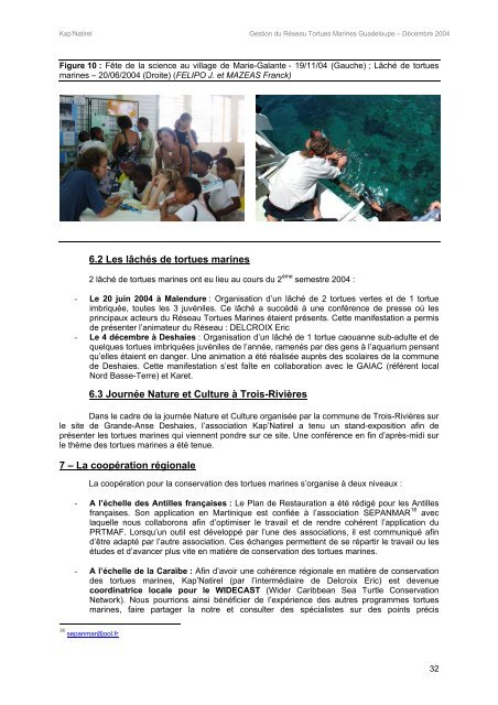 Gestion du Réseau Tortues Marines de Guadeloupe - juin ...