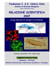 RELAZIONE SCIENTIFICA 2007 - Callerio Foundation