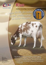 KIAN, toro Holstein Rojo mÃ¡s vendido en el mundo