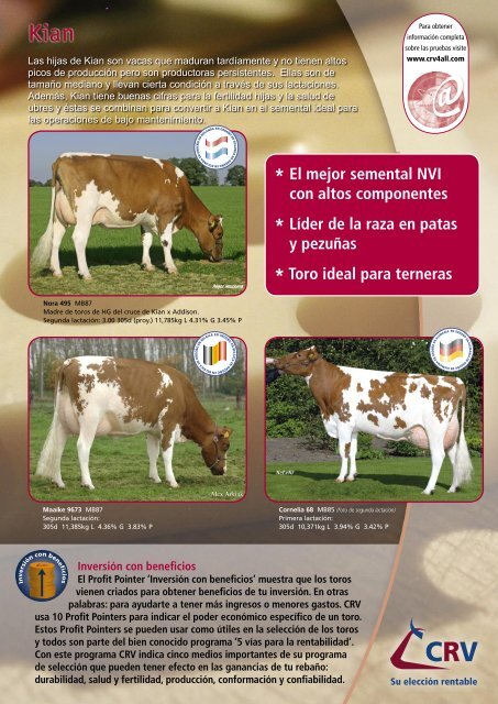 KIAN, toro Holstein Rojo mÃ¡s vendido en el mundo