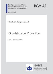BGV A1 Grundsätze der Prävention - Gasbehaelter.de