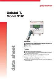 Datasheet Model 9181