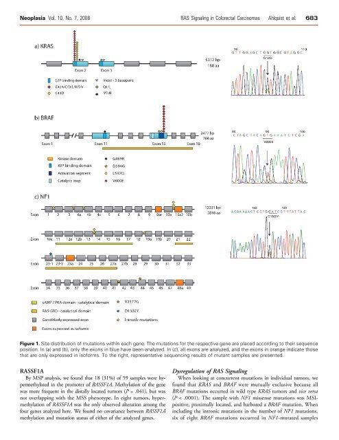 Novel genetic and epigenetic alterations in ... - Ous-research.no