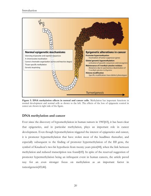 Novel genetic and epigenetic alterations in ... - Ous-research.no