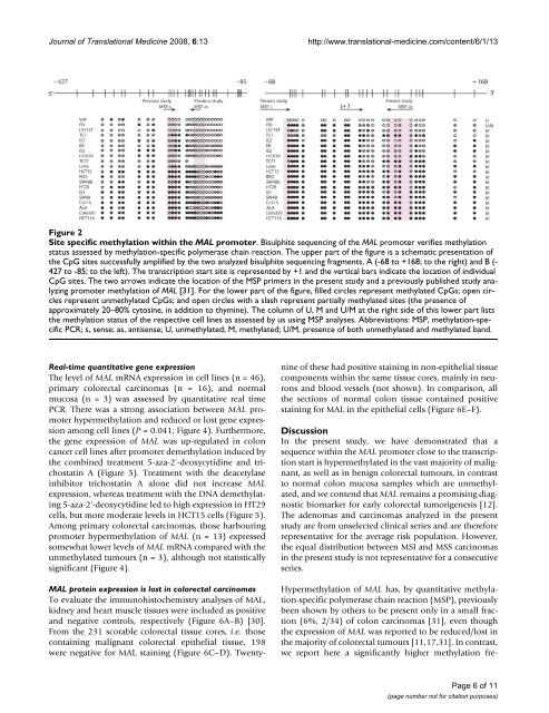 Novel genetic and epigenetic alterations in ... - Ous-research.no